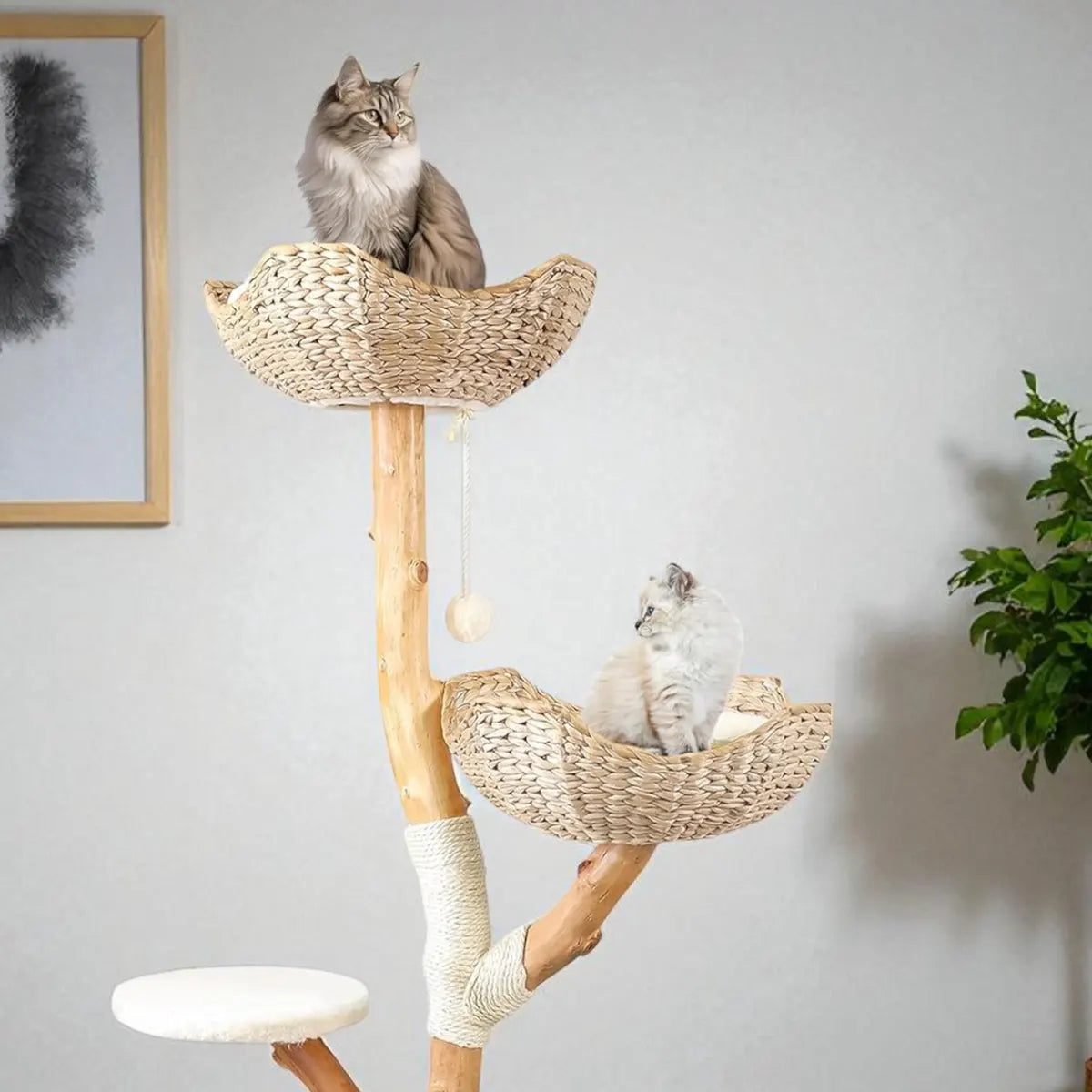 Solid Wood Cat Tree with Woven Baskets & Perches