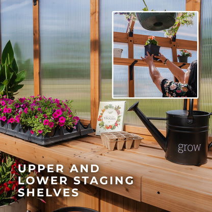 13x11 Bellerose XL Greenhouse