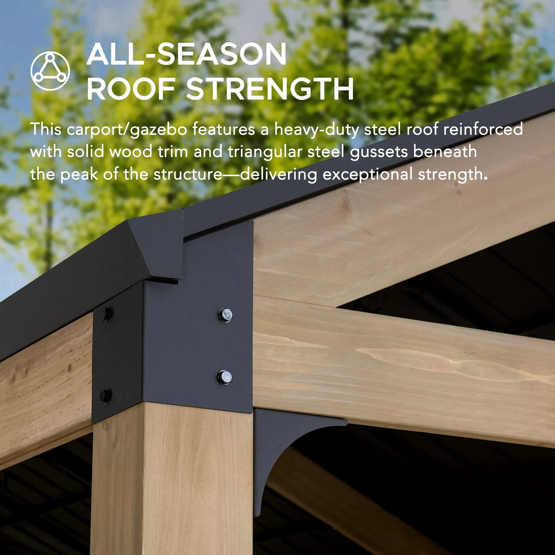 MazonvintageNewville 10x20 Wood Carport with Privacy Wall and Rain Gutter